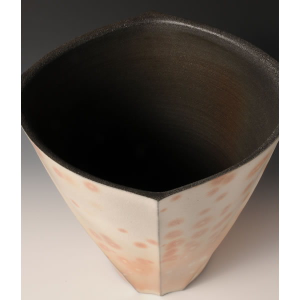 ENYOSAI KAKI (Flower Vase with Salt Kiln decoration) Takeo ware