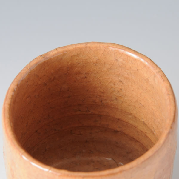 BIWA MENTORI YUNOMI (Faceted Teacup with Loquat color glaze) Hagi ware