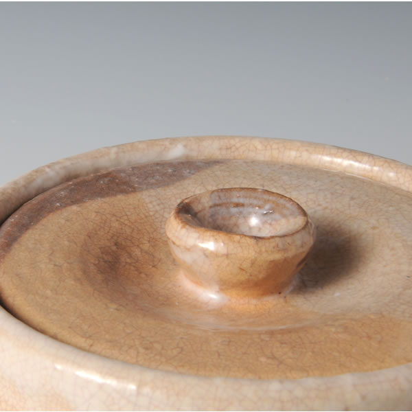 MIMITSUKI MIZUSASHI (Fresh-water Jar with Handles) Hagi ware