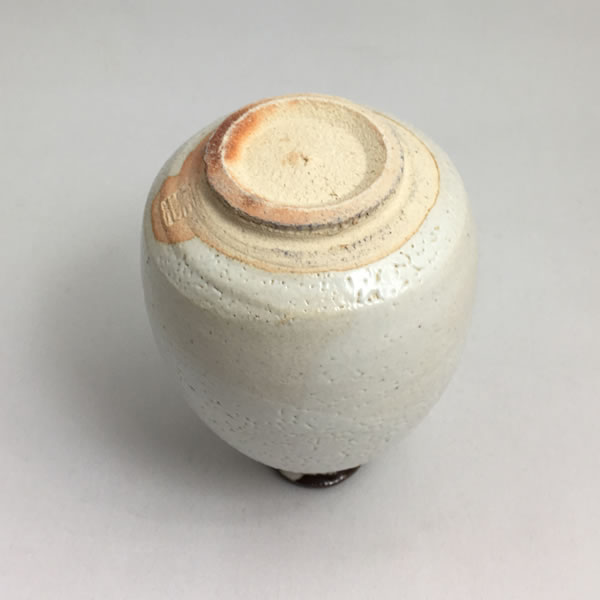 HAKUHOYU TOKKURI (Sake Bottle with Grapevine Branch-ash glaze D) Kyoto ware